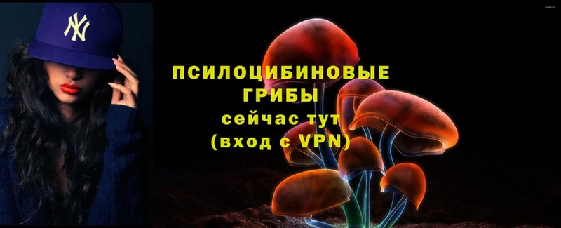 Псилоцибиновые грибы MAGIC MUSHROOMS  где купить   Нижняя Тура 